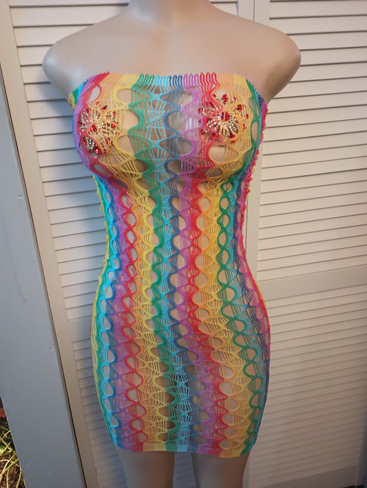 Multi color net dress